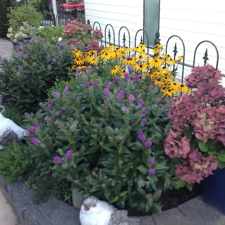 Vakantiehuis Direkt Am By Interhome